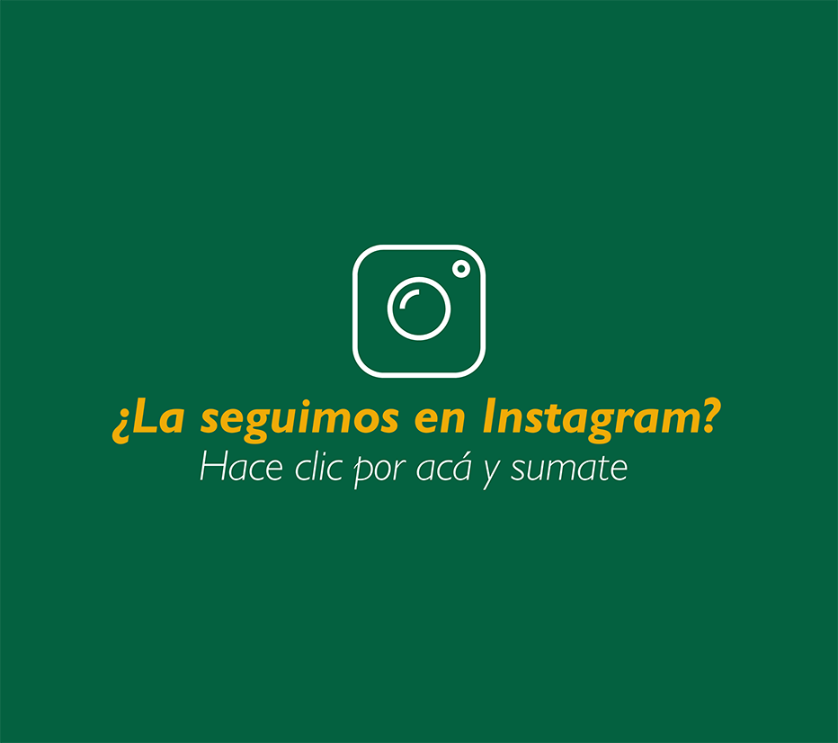 Instagram_pagina_web